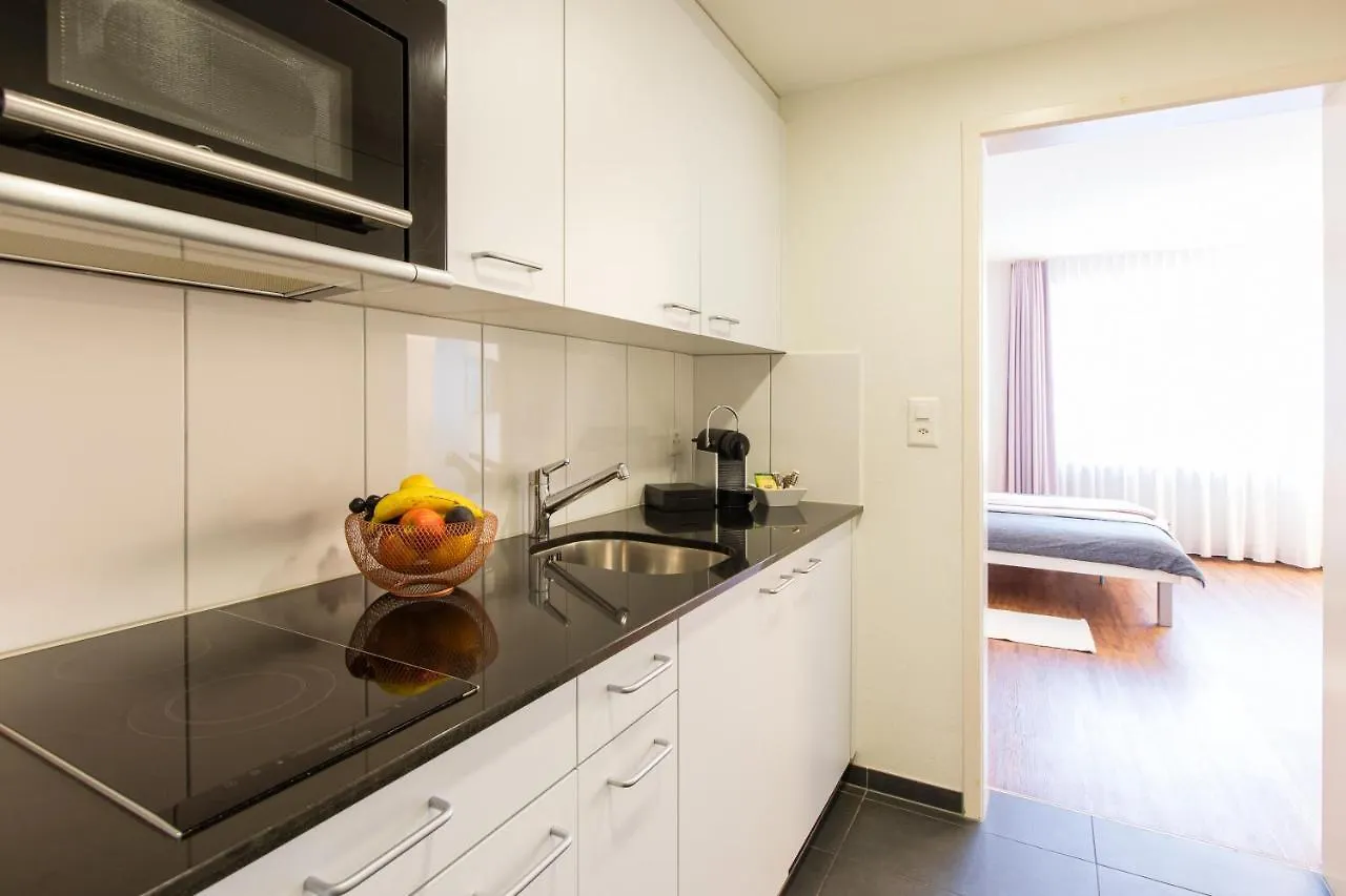 Apartmenthaus Zum Trillen Basel Aparthotel